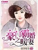 豪门霸婚之暖妻