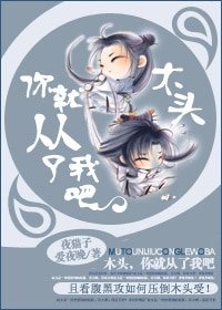 木頭，你就從了我吧/木頭你好，木頭再見
