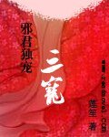 邪君獨寵:三寵