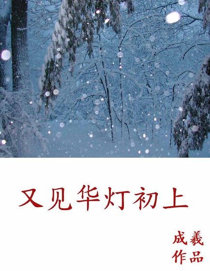 又见华灯初上