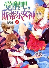 觉醒吧,斯蒂尔女神