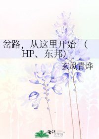 岔路,從這裡開始 (HP、東邦)