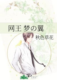 網王 夢の翼