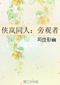 (俠嵐同人)俠嵐同人:旁觀者
