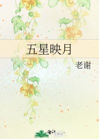 五星映月