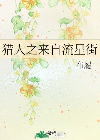 獵人之來自流星街