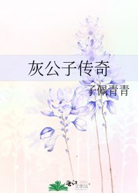 灰公子傳奇