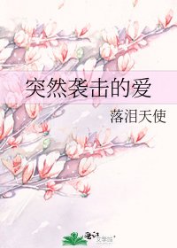 突然襲擊的愛