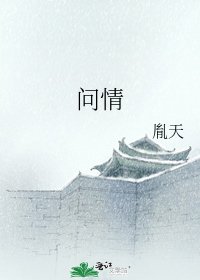 問情