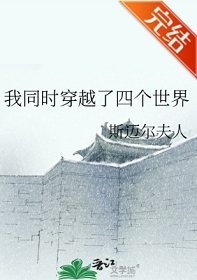 (綜漫同人)我同時穿越了四個世界