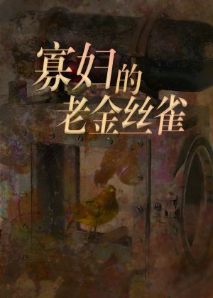 寡婦的老金絲雀