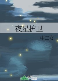 夜星護衛