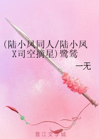 (BL/陆小凤同人)(陆小凤X司空摘星)鹭鸶/梧栖楼