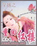 (红楼同人)穿越之重回红楼